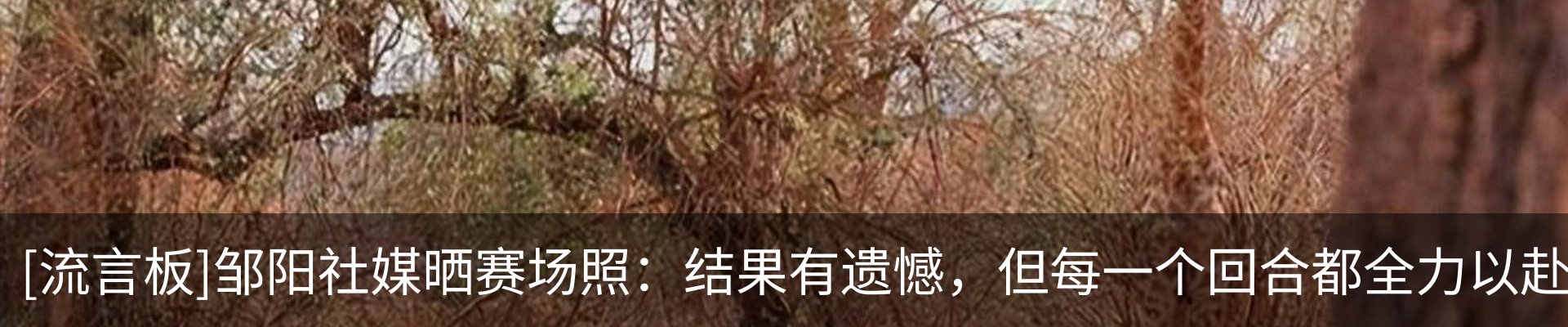 新闻动态